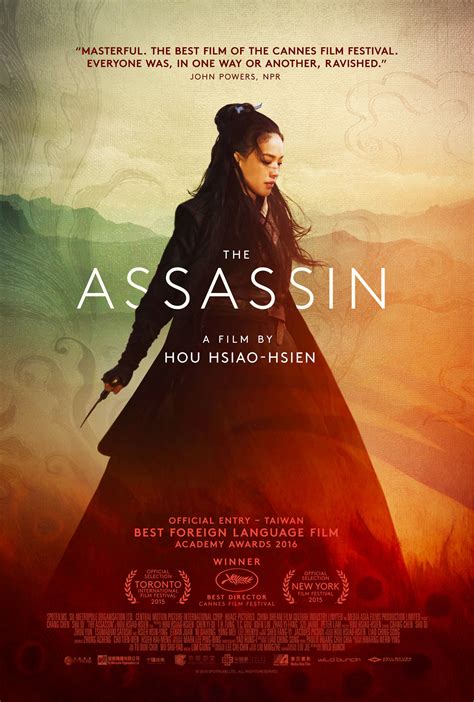 the movie the assassin